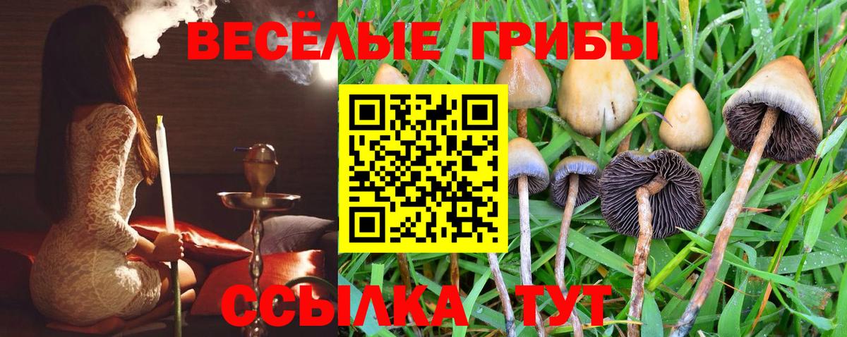 Галлюциногенные грибы мухоморы  Галлюциногенные грибы Magic Shrooms  Вход с VPN  Старая Русса 